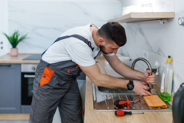 Best Affordable Plumbing Services  in Skidway Lake, MI