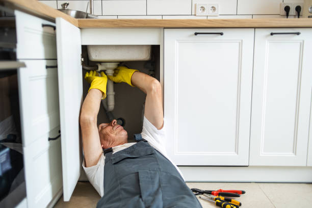 Best Plumbing Inspection Services  in Skidway Lake, MI